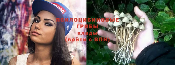 кристаллы Алексин